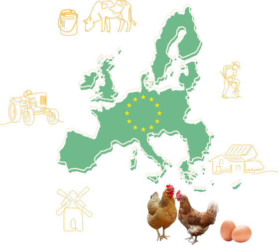 Socially responsible family owned businesses around the globe